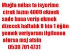  Çırak araniyor ekmek bölümüne haftalık 9 bin yatakhane yemek sigorta var yer Muğla milas ta 05397014731