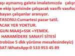  30 yaşı aşmamış galeta imalatımızda çalışmak üzere ekip içerisinde çalışacak vasıflı vasıfsız bay bayan çalışanlar aranıyor.05339534589