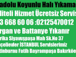 Anadolu Koyunlu Halı Yıkama