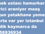 Ekmek ustası hamurkar pişirici araniyor maaş dolgun yatakhane yemek sigorta var yer istanbul pendik kaynarca da 05456936934